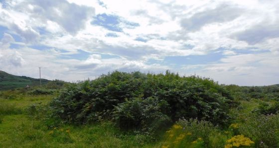 East Tarbert (Cairn(s))