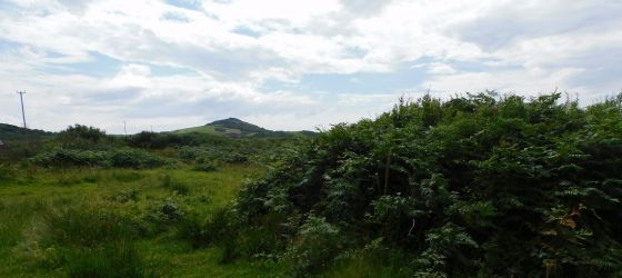 East Tarbert (Cairn(s))