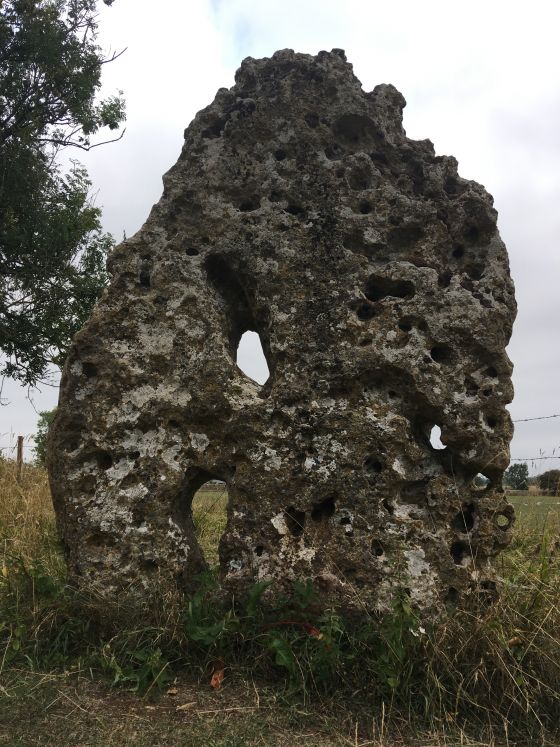 The Longstone of Minchinhampton (Standing Stone / Menhir)