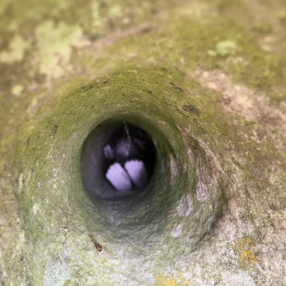 Avebury
