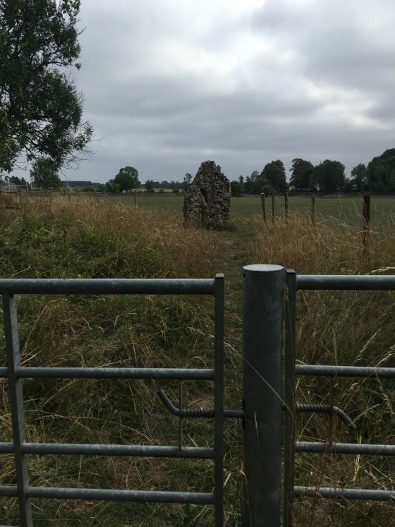 The Longstone of Minchinhampton (Standing Stone / Menhir)