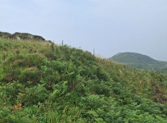 Dun Chibhich (Hillfort)