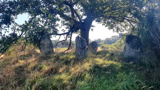 Lundin Farm (Stone Circle)
