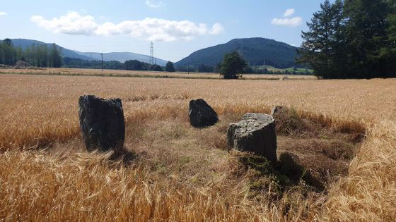 Carse Farm I (Stone Circle)
