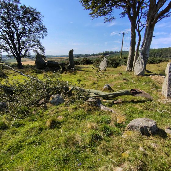 Tyrebagger (Stone Circle)