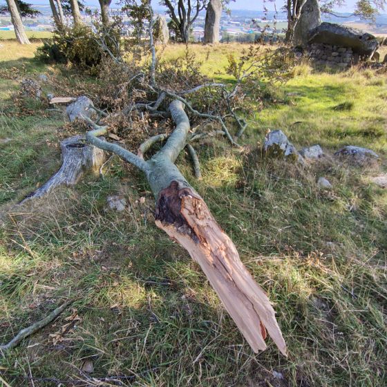 Tyrebagger (Stone Circle)