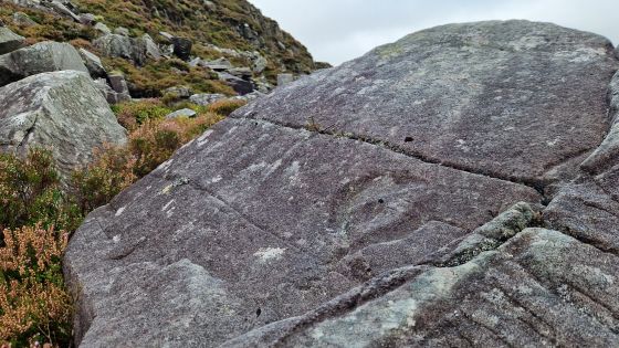 Llyn Du, Y Rhinogydd (Cup and Ring Marks / Rock Art)