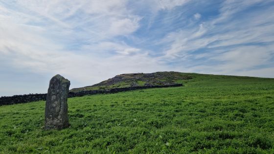 Moel-y-Sensigl (Standing Stone / Menhir)