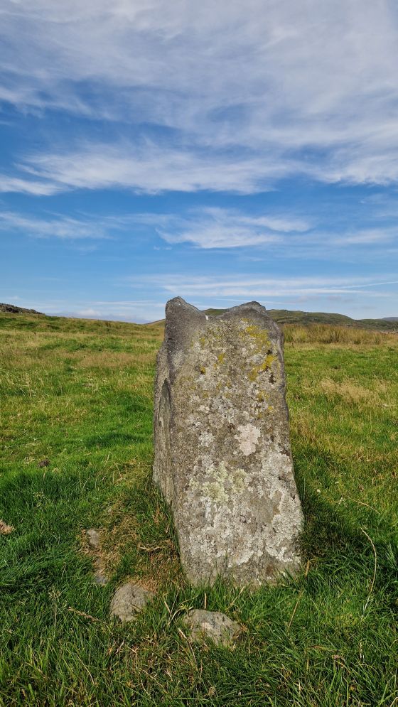 Fonlief Hir Stone E (Standing Stone / Menhir)
