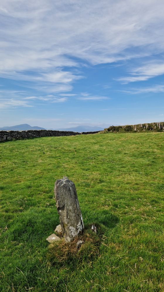 Fonlief Hir Stone C (Standing Stone / Menhir)