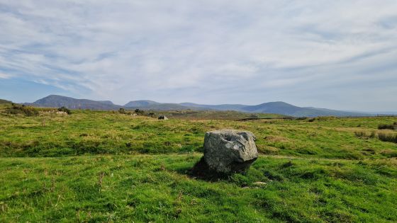 Fonlief Hir Stone D (Standing Stone / Menhir)
