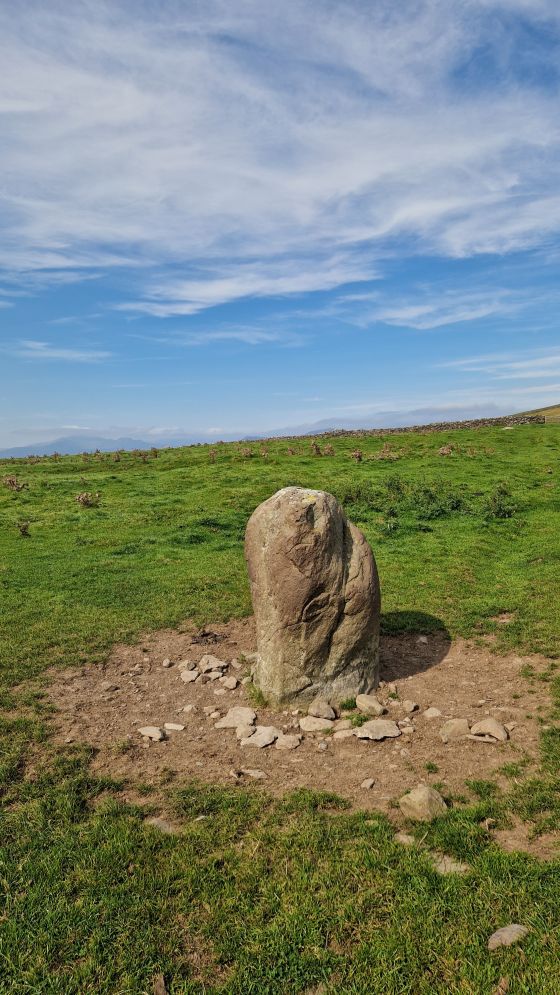 Moel Goedog Stone 2 (Standing Stone / Menhir)