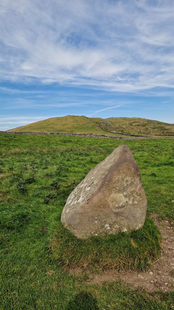 Moel Goedog Stone 3 (Standing Stone / Menhir)