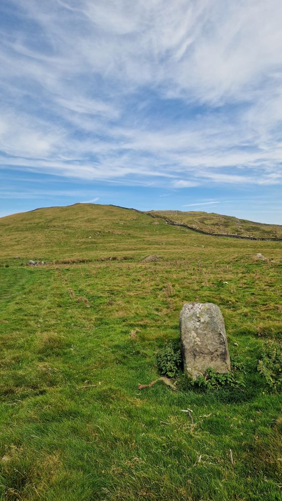 Moel Goedog Stone 1 (Standing Stone / Menhir)