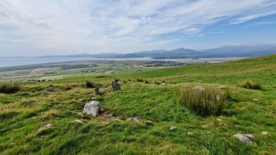 Moel Goedog West (Cairn circle)