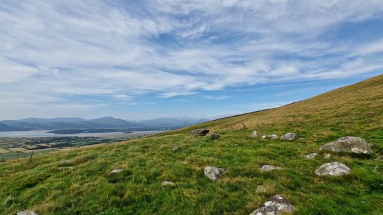 Moel Goedog East (Cairn circle)