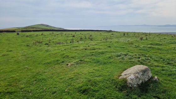Moel Goedog Stone 2 (Standing Stone / Menhir)