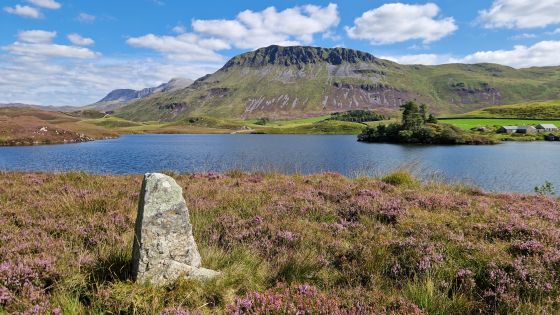 Plas Cregennen Stone (Standing Stone / Menhir)