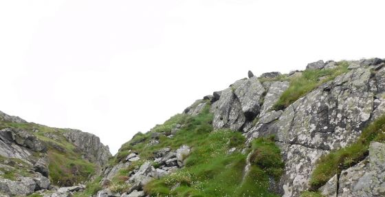 Port Mor (Stone Fort / Dun)