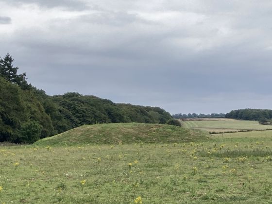 Harpley Common (Barrow / Cairn Cemetery)