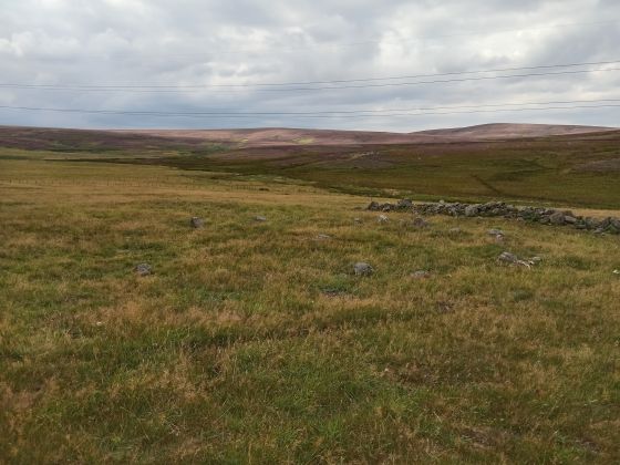 Kingside Hill Stone Circle