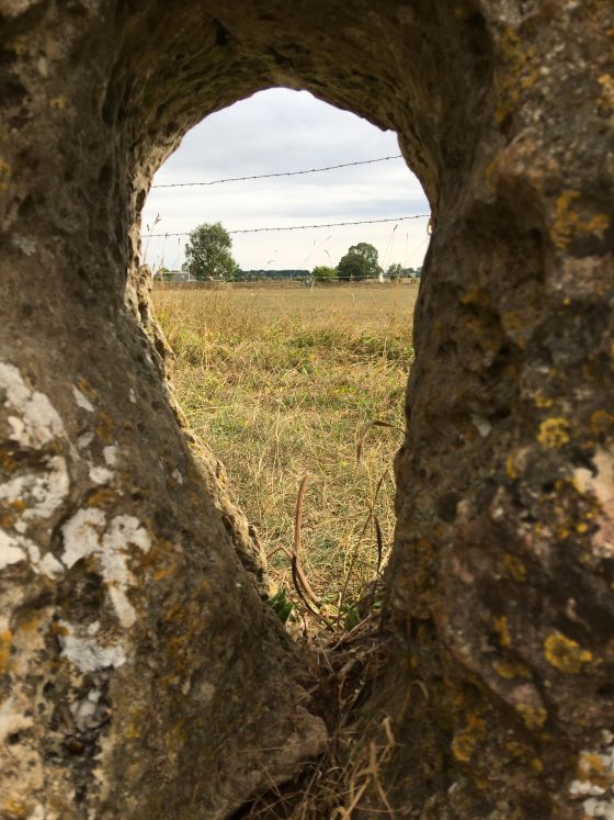 The Longstone of Minchinhampton (Standing Stone / Menhir)