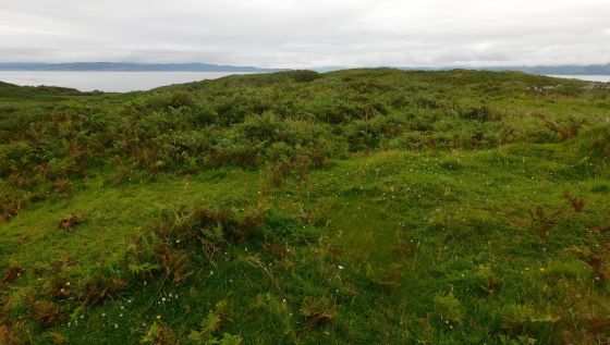 Cnoc An T-Sabhail (Stone Fort / Dun)