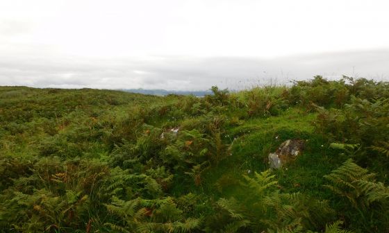 Cnoc An T-Sabhail (Stone Fort / Dun)