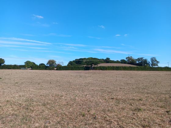 Barnmoor Wood Camp (Hillfort)