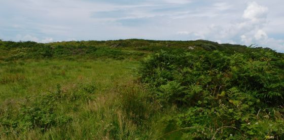 East Tarbert (Cairn(s))