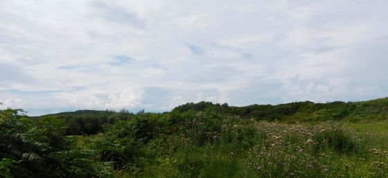 East Tarbert (Cairn(s))