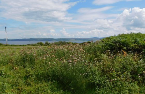 East Tarbert (Cairn(s))