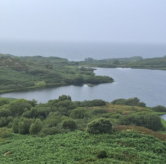 Mill Loch (Crannog)