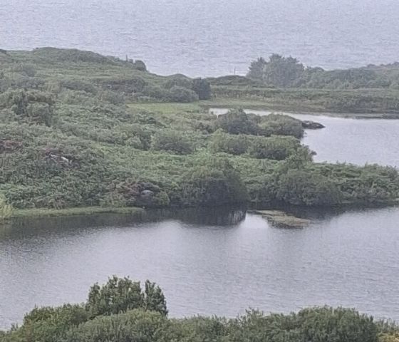 Mill Loch (Crannog)