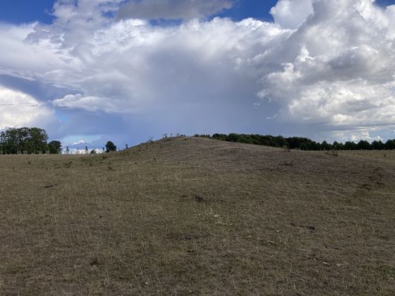 Lodge Park (Long Barrow)