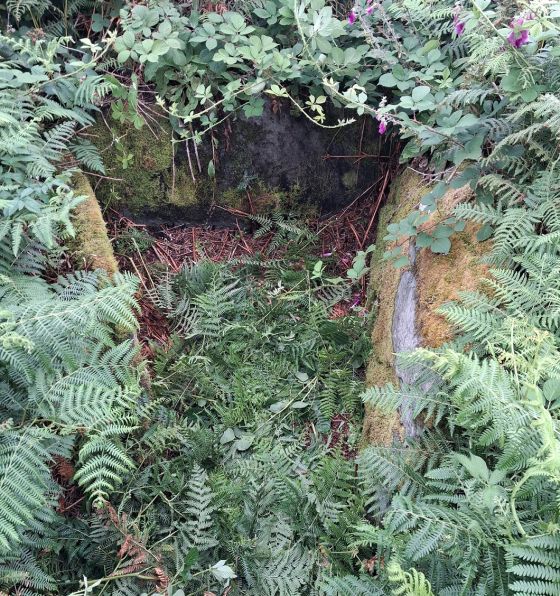 Ardlamey (Cairn(s))