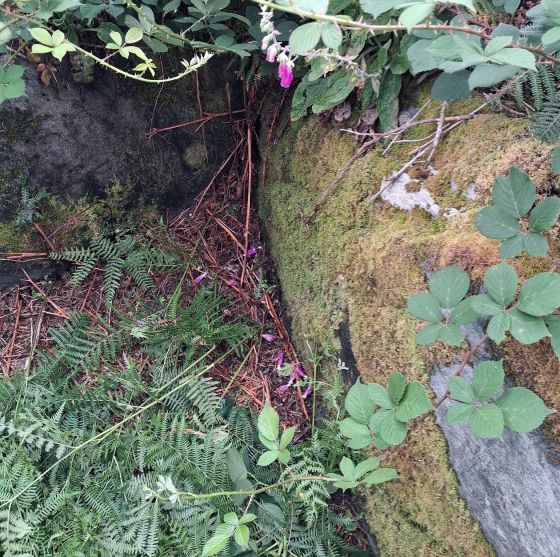 Ardlamey (Cairn(s))
