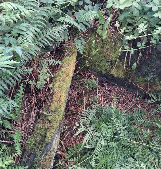 Ardlamey (Cairn(s))