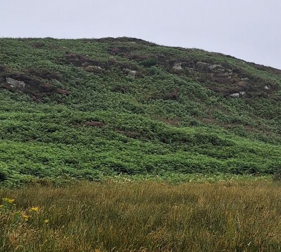 Moine Ceann A’ Mhill (Cairn(s))