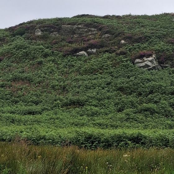 Moine Ceann A’ Mhill (Cairn(s))