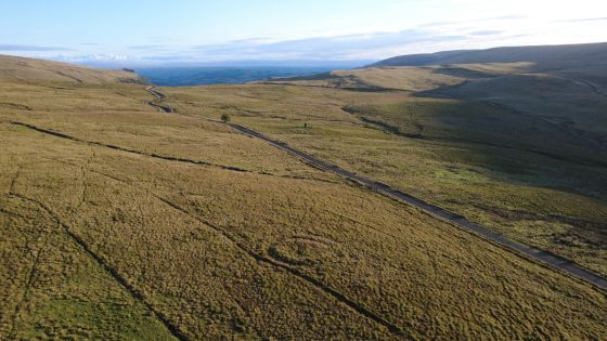Llech Lia (Enclosure)