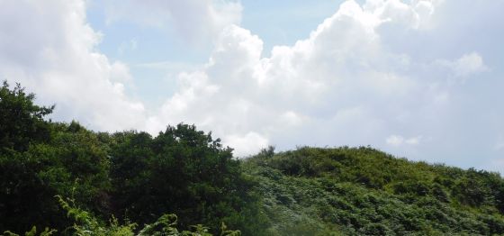 Cnoc A’Bharra (Hillfort)
