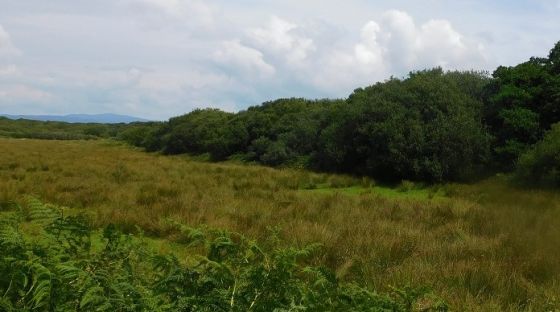 Cnoc A’Bharra (Hillfort)