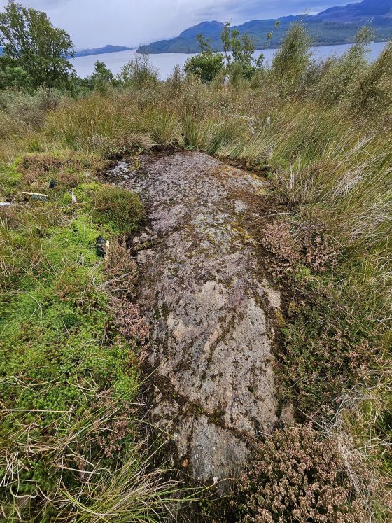 Tom Nam Clach (Cup and Ring Marks / Rock Art)