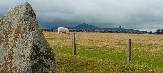 Easter Aquhorthies (Stone Circle)
