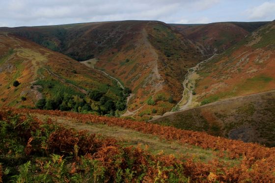 Bodbury Ring (Hillfort)