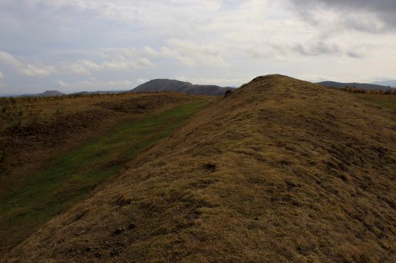 Bodbury Ring (Hillfort)