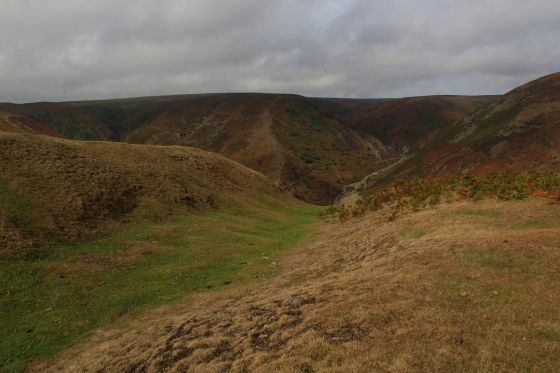 Bodbury Ring (Hillfort)