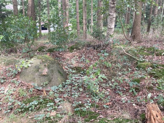 Wachtum (Chambered Tomb)