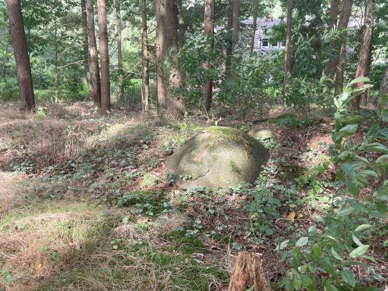 Wachtum (Chambered Tomb)